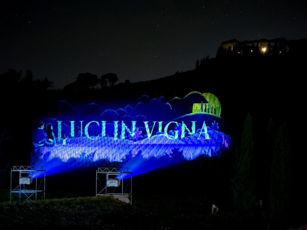 Luci in vigna